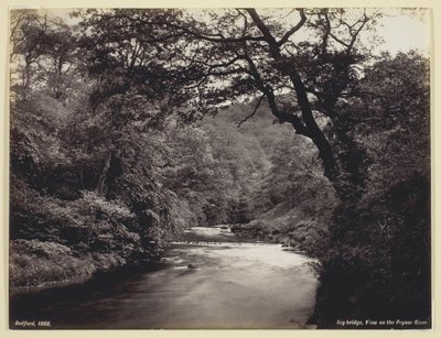 Ivy Bridge, vista sobre el río Prysor de Francis Bedford