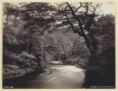 Puente Ivy, Vista en el Río Prysor de Francis Bedford