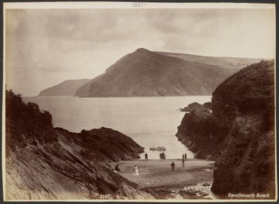 Playa Smallmouth de Francis Bedford