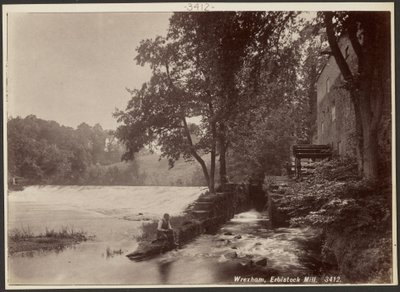 Wrexham, Molino Erbistock de Francis Bedford
