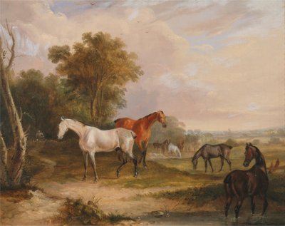 Caballos pastando: un semental gris pastando con yeguas en un prado de Francis Calcraft Turner