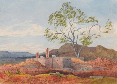 Ruina en Agoola, Tigre de Francis Cornelius James