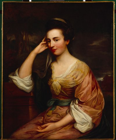 Mrs Chandos-Pole (óleo sobre lienzo) de Francis Cotes