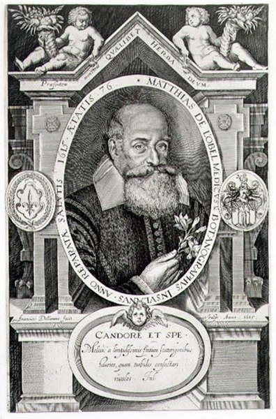 Retrato de Matthias de Lobel (1538-1622) grabado por el artista de Francis Delaram