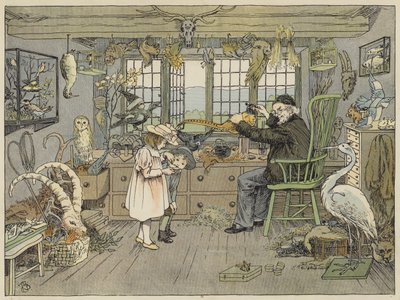 Bird-Stuffer (litografía en color) de Francis Donkin Bedford