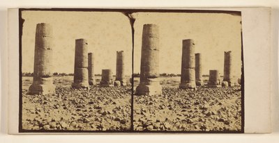 Columnas desnudas en el desierto, posiblemente en Tebas de Francis Frith