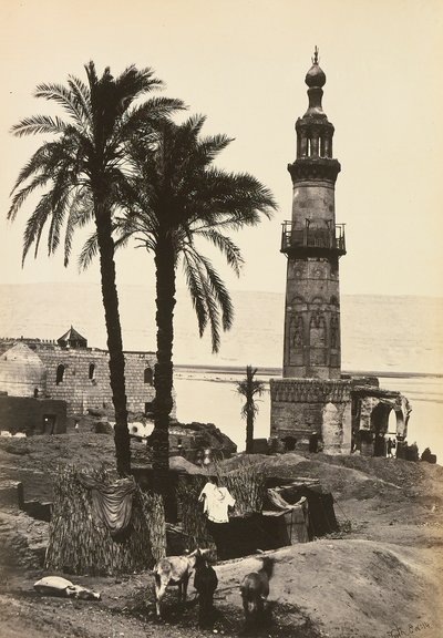 Egipto y Palestina: vista de Girgeh, Alto Egipto de Francis Frith