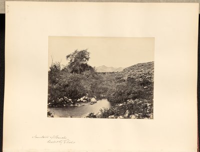 Fuente de Jericó, curada por Eliseo de Francis Frith