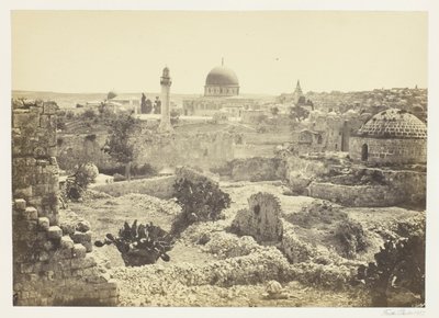 Jerusalén desde la muralla de la ciudad de Francis Frith