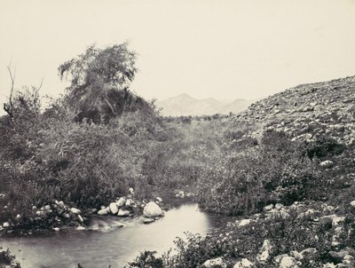 La fuente de Jericó y probable sitio de la ciudad, ca. 1857 de Francis Frith