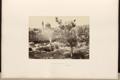 El estanque de Betesda, c., Jerusalén de Francis Frith