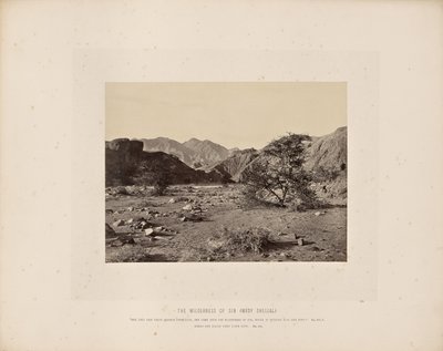 El desierto del pecado (Wady Shellal) de Francis Frith