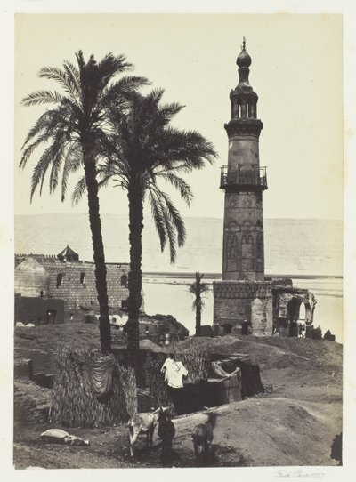 Vista de Girgeh, Alto Egipto de Francis Frith
