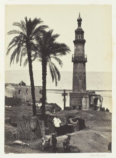 Vista en Girgeh, Alto Egipto de Francis Frith