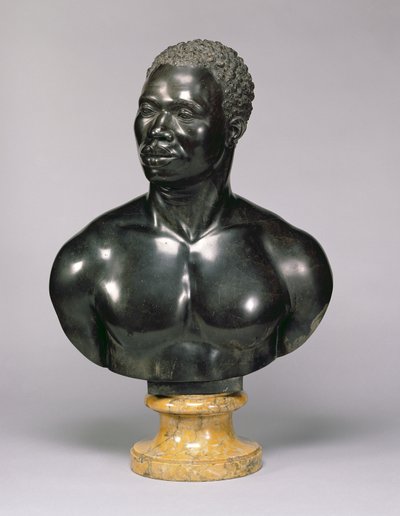 Busto de un hombre (caliza negra y mármol amarillo) de Francis Harwood