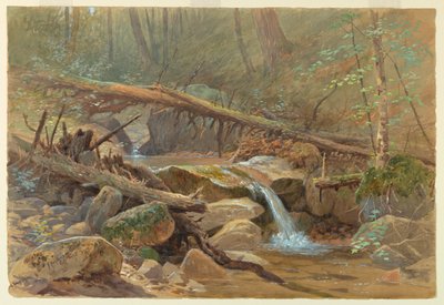 Charca en el Bosque de Francis Hopkinson Smith