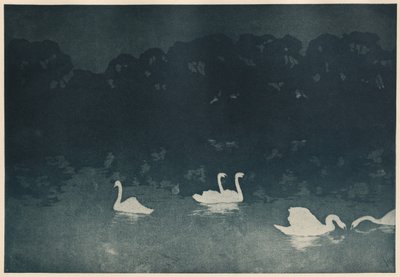 los cisnes de Francis Jourdain