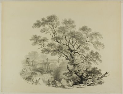 Árbol y Puente Peatonal de Francis Nicholson