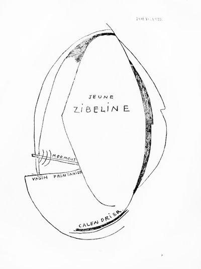 Poemes et Dessins de la Fille nee sans Mere, nº 15, publicado por Imprimeries Reunies, Lausana de Francis Picabia