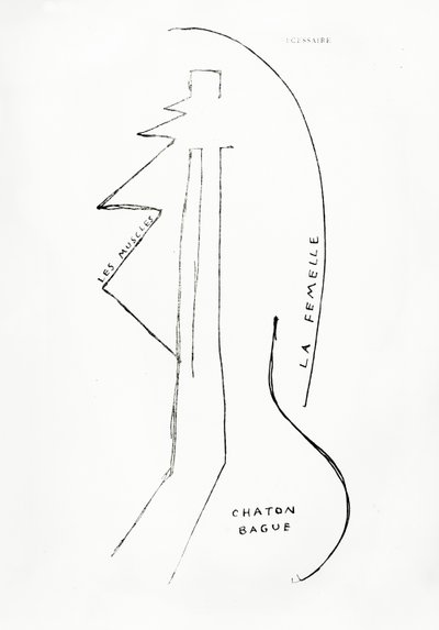 Poemes et Dessins de la Fille nee sans Mere, nº 23, publicado por Imprimeries Reunies, Lausana. de Francis Picabia