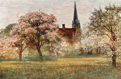 Olney de Francis S. Walker