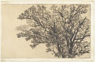 copa de un arbol El árbol más antiguo de Francis Seymour Haden (Sir) (signed by artist)