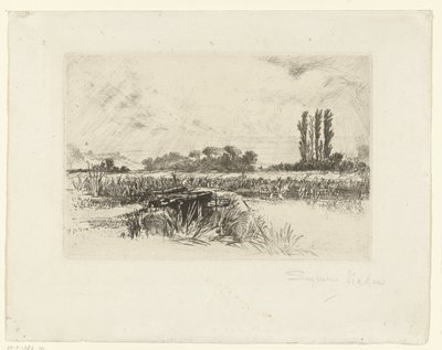 llanura aluvial un prado de agua de Francis Seymour Haden (Sir) (signed by artist)