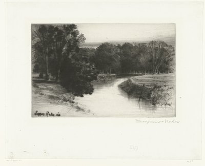 Una puesta de sol en Irlanda
Una puesta de sol en Irlanda de Francis Seymour Haden (Sir) (signed by artist)