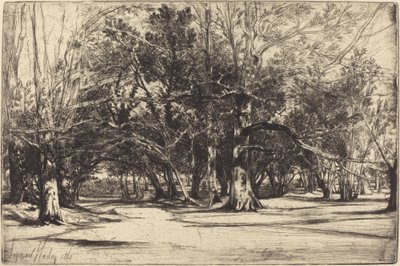 Un camino secundario en Tipperary de Francis Seymour Haden