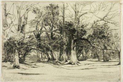 Un camino secundario en Tipperary de Francis Seymour Haden