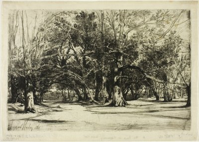 Un camino secundario en Tipperary de Francis Seymour Haden