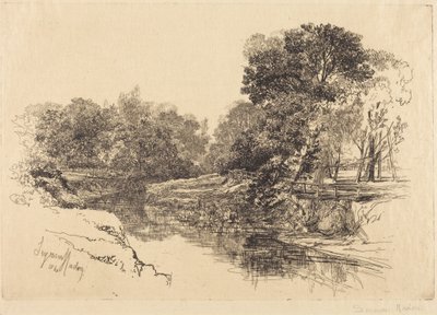 Un río en Irlanda de Francis Seymour Haden