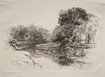 Un río en Irlanda, 1864 de Francis Seymour Haden