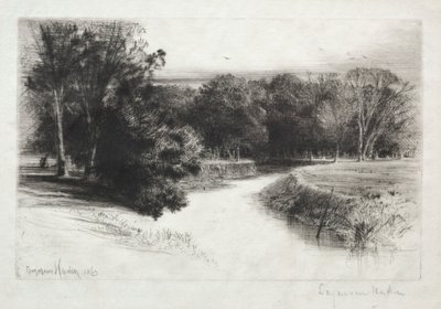 A Sunset in Ireland de Francis Seymour Haden
