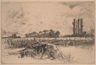 Un prado de agua de Francis Seymour Haden