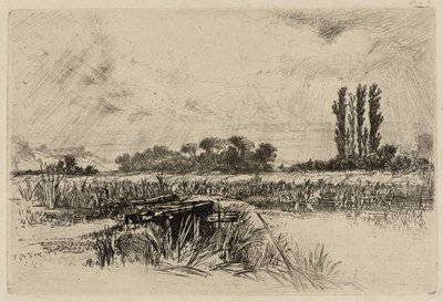 Un prado de agua de Francis Seymour Haden