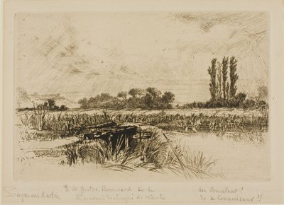 Un prado de agua de Francis Seymour Haden