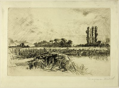 Un prado de agua de Francis Seymour Haden