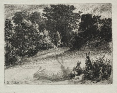 Combe Bottom de Francis Seymour Haden
