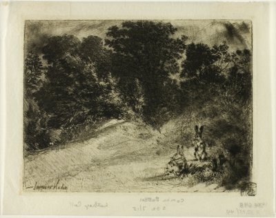 Combe Bottom de Francis Seymour Haden