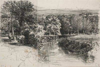 Río Dundrum y los dos burros de Francis Seymour Haden