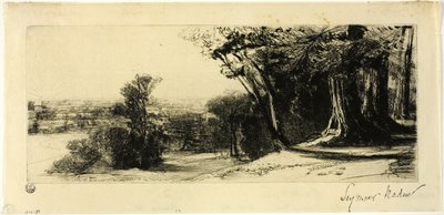 Temprano en la mañana, Parque Richmond de Francis Seymour Haden