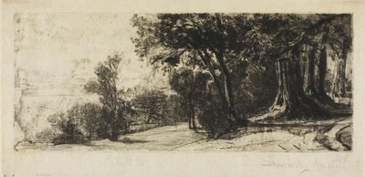 Temprano en la mañana, Parque Richmond de Francis Seymour Haden
