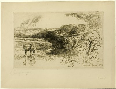 Bosques de Encombe, No. II de Francis Seymour Haden