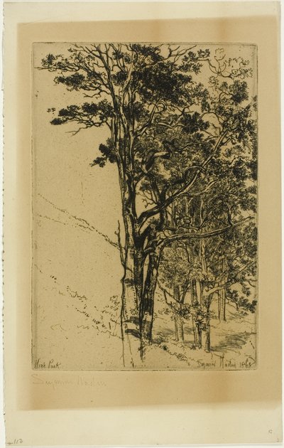Abetos (Un Estudio) de Francis Seymour Haden