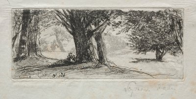 Campo de acebos de Francis Seymour Haden