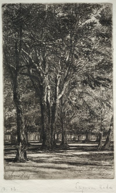 Jardines de Kensington (La Placa Mayor) de Francis Seymour Haden