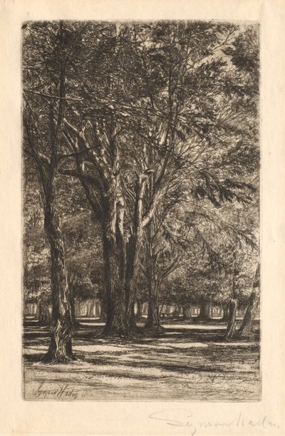 Jardines de Kensington, No. 2 Placa Grande, 1860 de Francis Seymour Haden