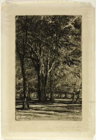 Jardines de Kensington, No. II (placa grande) de Francis Seymour Haden