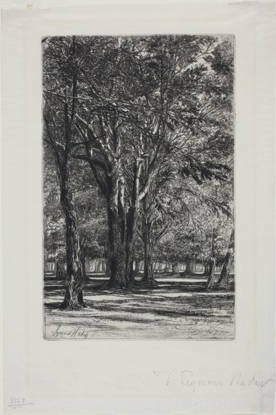 Jardines de Kensington, nº II (placa grande) de Francis Seymour Haden